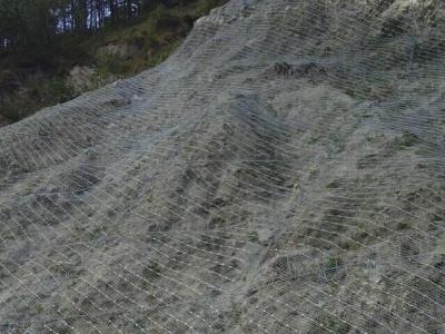 重慶主動防護網