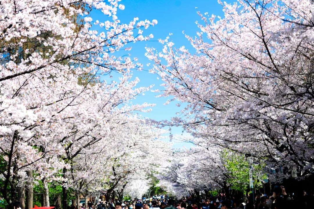 1616988299945257WhcF.jpg 1616988299945257WhcF.jpg