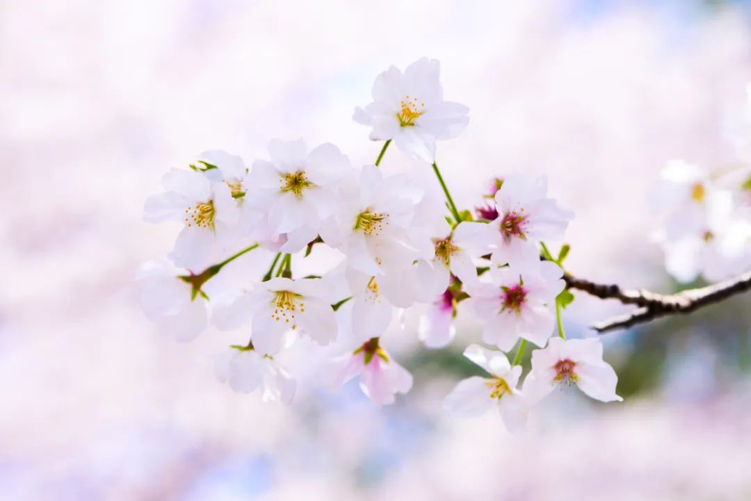 16169883349098710pGE.png 16169883349098710pGE.png