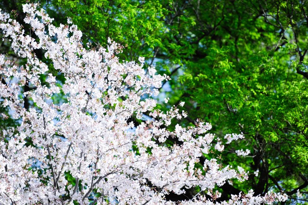 1616988376759865HEF4.jpg 1616988376759865HEF4.jpg