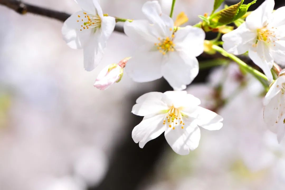 1616988500483523iosN.png 1616988500483523iosN.png