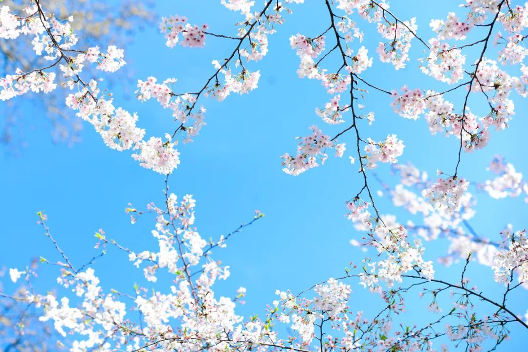 1616997954197871I8Xm.png 1616997954197871I8Xm.png