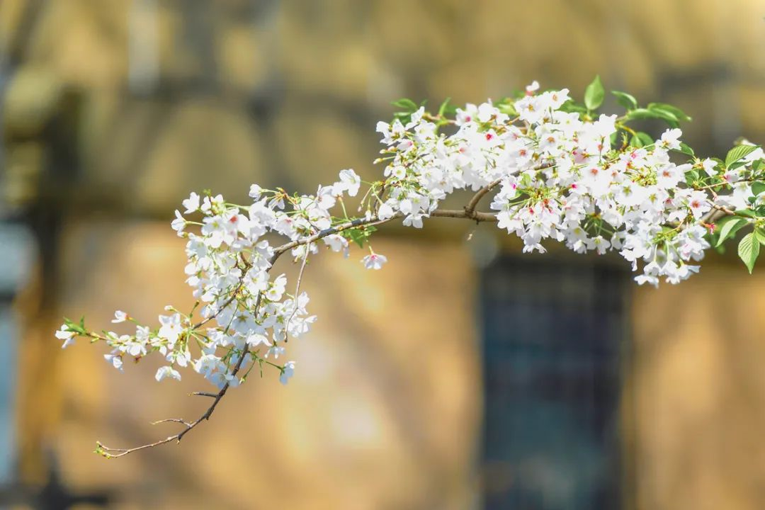 1616998006268855toHV.png 1616998006268855toHV.png