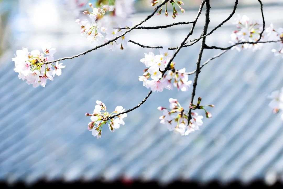 1616998059574358D1yE.png 1616998059574358D1yE.png