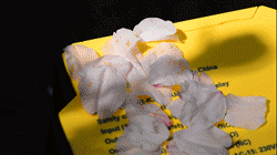 1616999130580721PSzO.gif 1616999130580721PSzO.gif